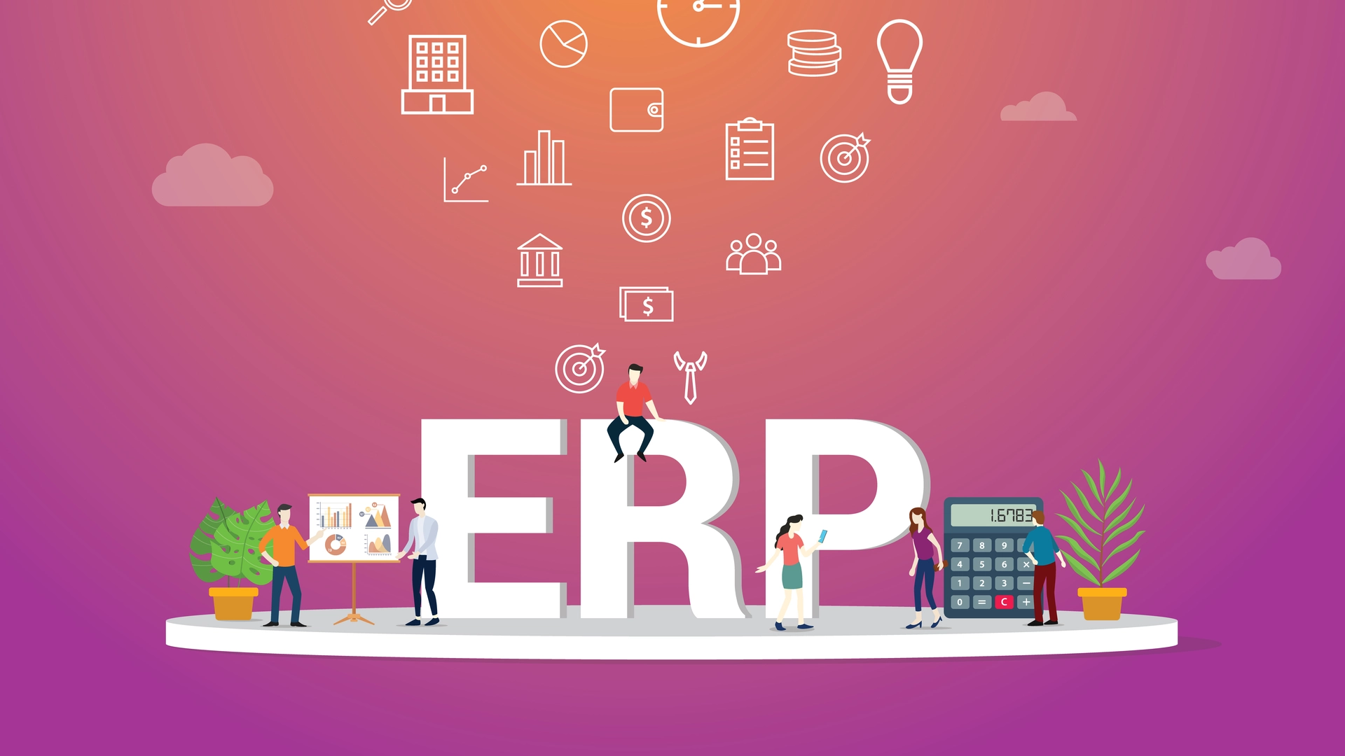 ERP System Image